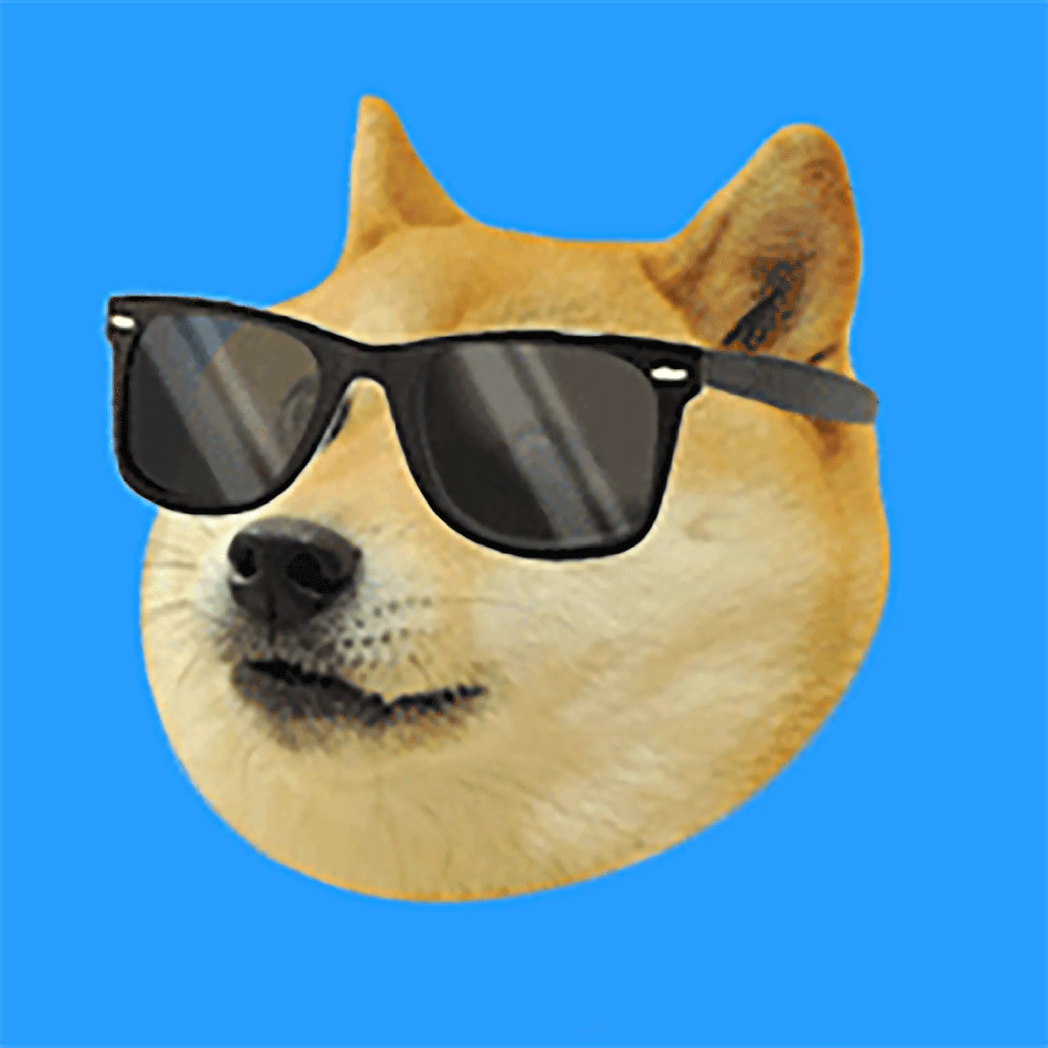 Doge2048 - Sunglasses - 512 Points Tile