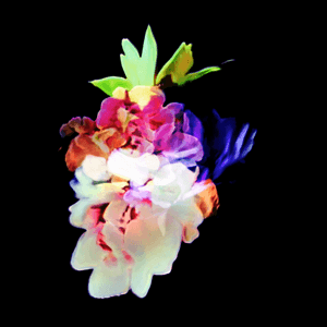 Bloom by Strange Process