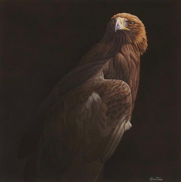 The Golden Eagle 1