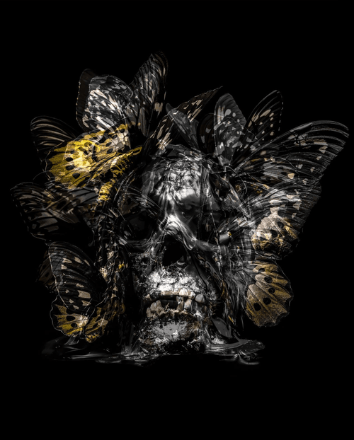 Papillon by Philippe Pasqua