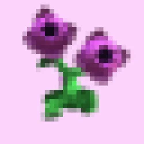 PKG NFTs