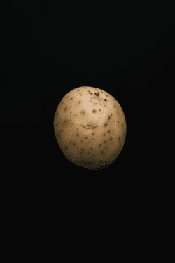 SpudShots - Mugshots of Famous Potatoes collection image