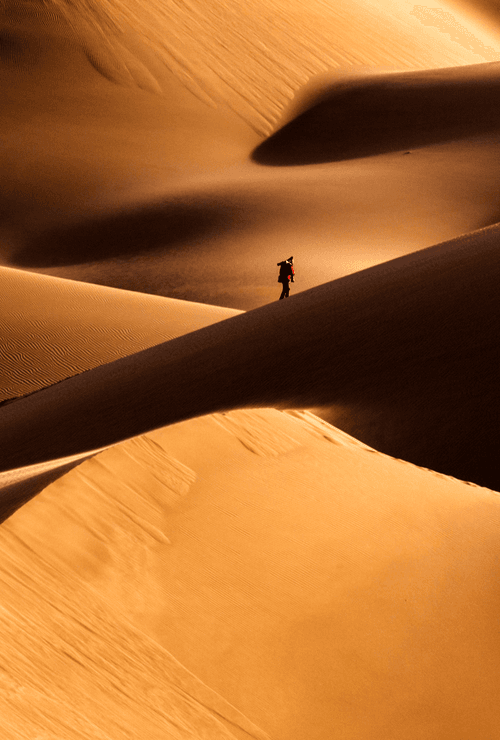 Crossing The Desert #1