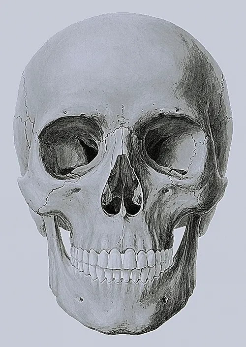 Memento Mori #228