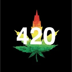 The 420s collection image