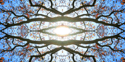 Tistra - kaleidoscope collection image
