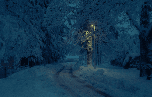 A Cold Winters Night #19