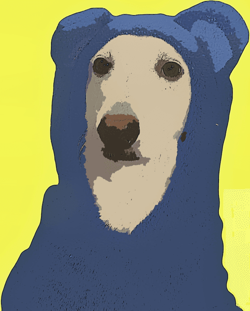 WileyBear31