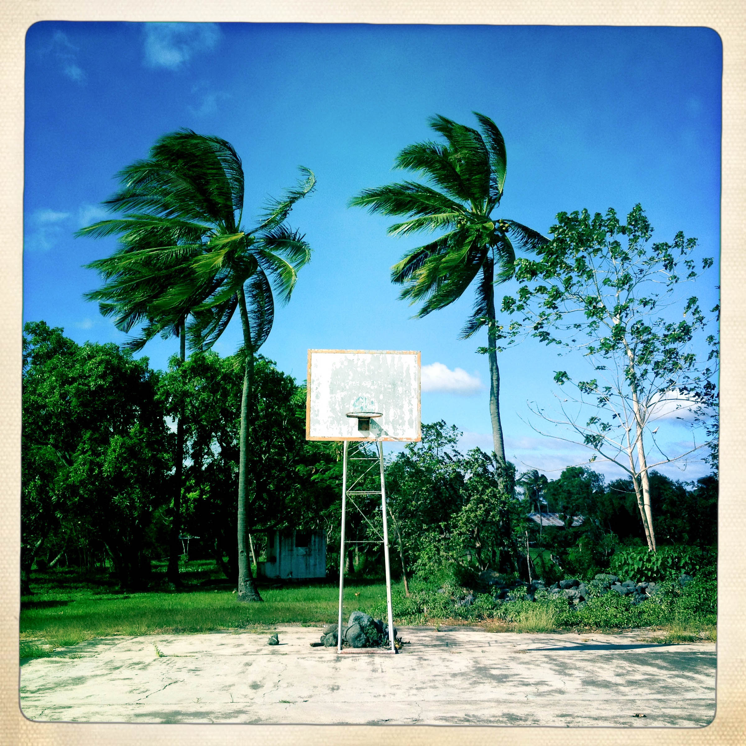 Basketball Landscape #17