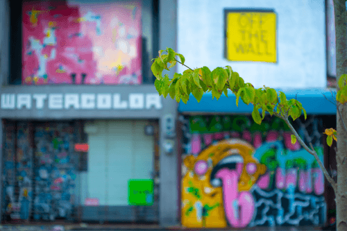 #022_City Gallery