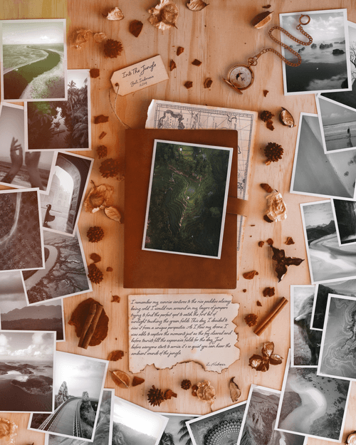 #11 The Into The Jungle Story