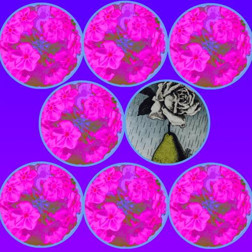Van_Di