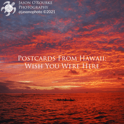 Postcards from Hawaii collection image
