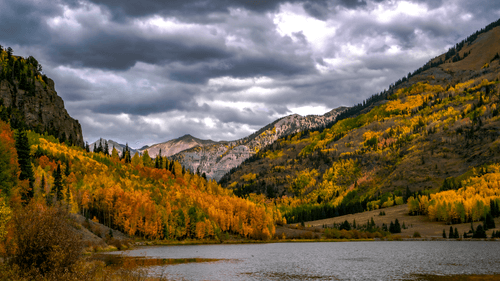 Changing of the Seasons Across America and Canada