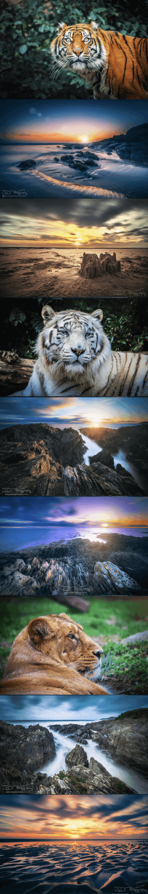 Jake Davies Photography