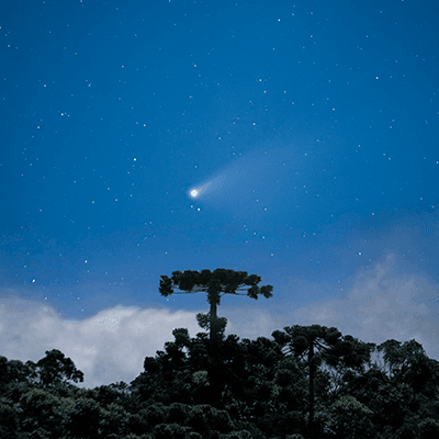 Vastness of the universe