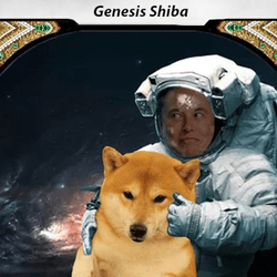 Space Shiba Cards collection image