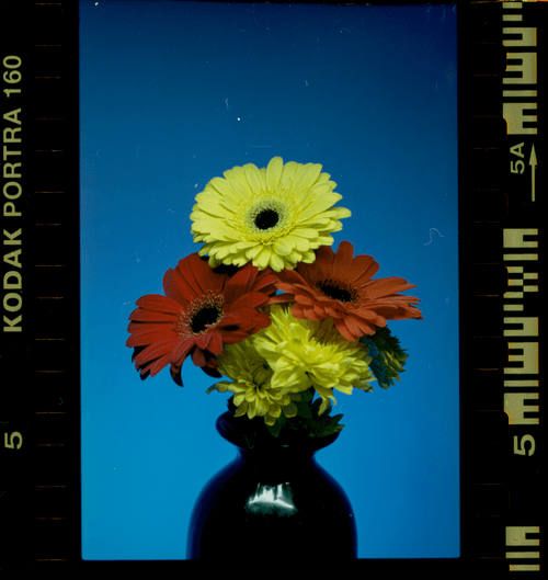 Portra 3 Frame 5