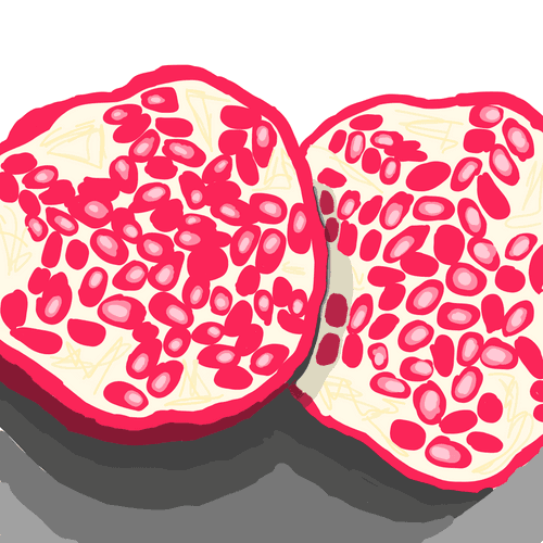 Pomegranate 1.5