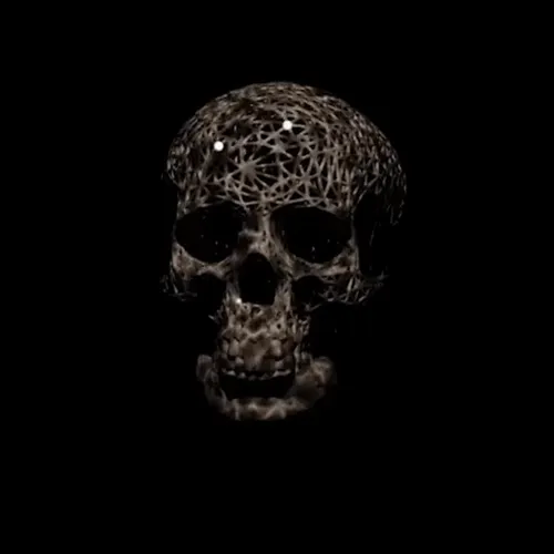 The Skull Collection Commissions and Special Editions by Amy Karle