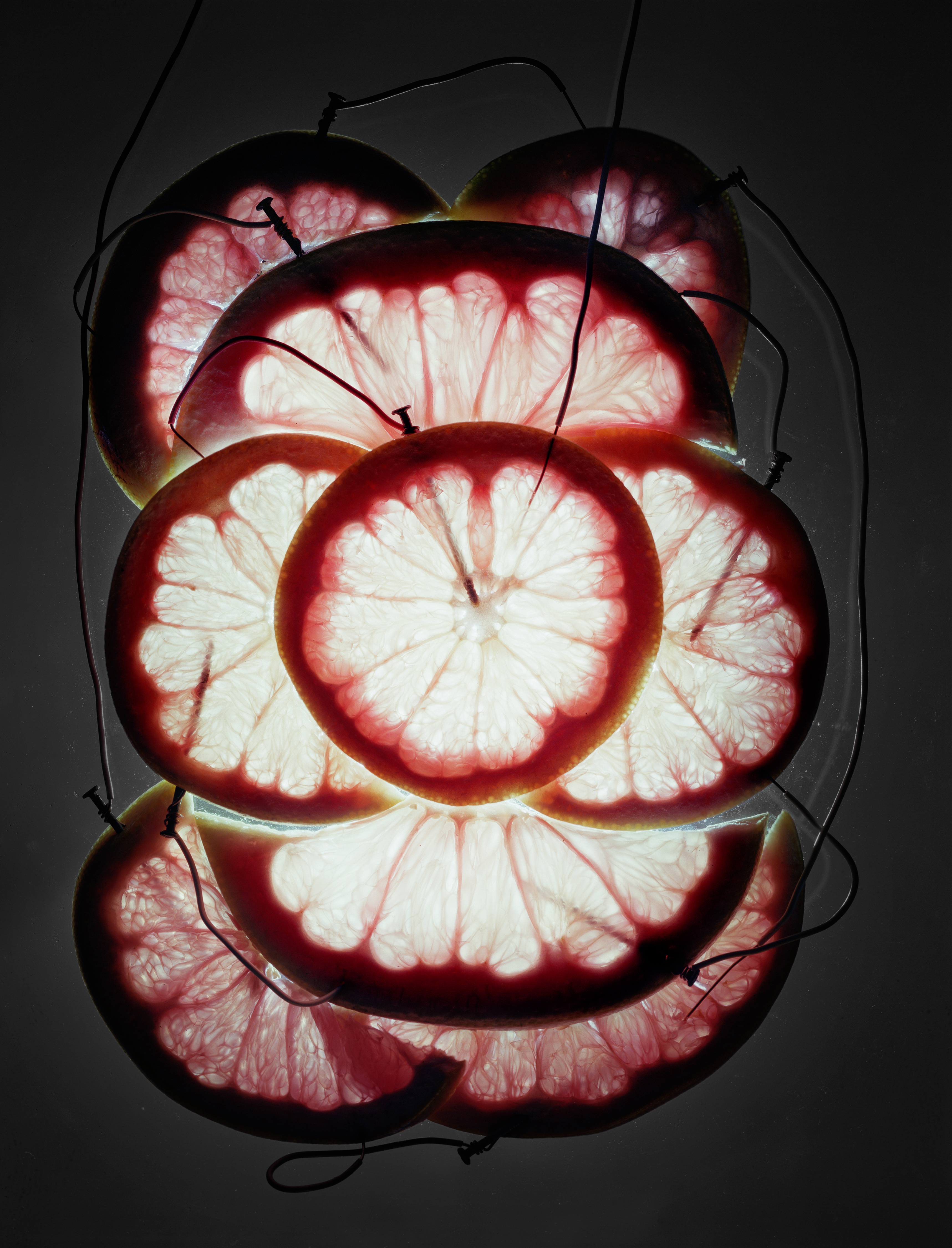 Back to Light - Grapefruit and Pomelo Battery, 2013