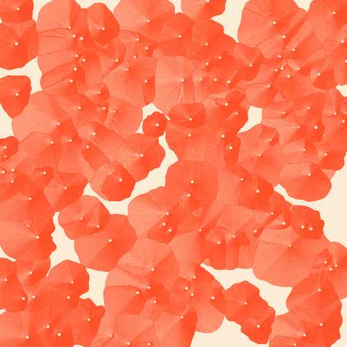 Sketch 311 - orange