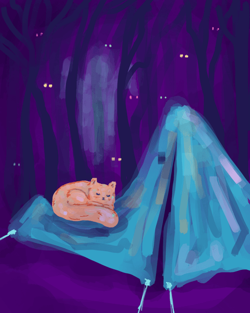 Day 28 - Camping