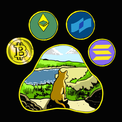 Bear-Necessities Sanctuary collection image