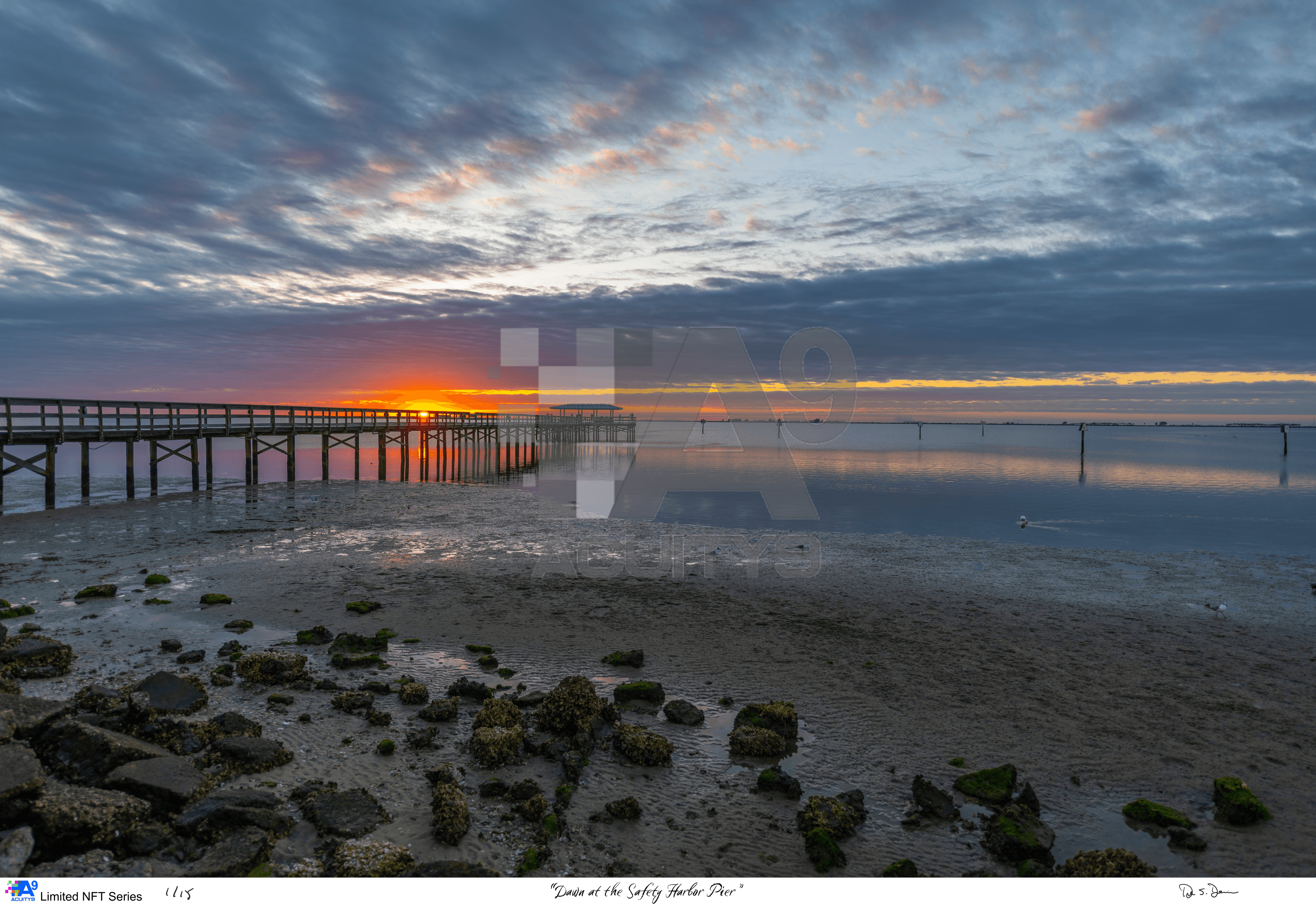 "Dawn at the Safety Harbor Pier"