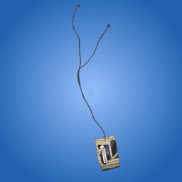 Mummified Walkman