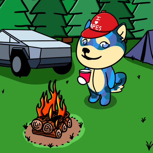 Dogepalooza Camp 020