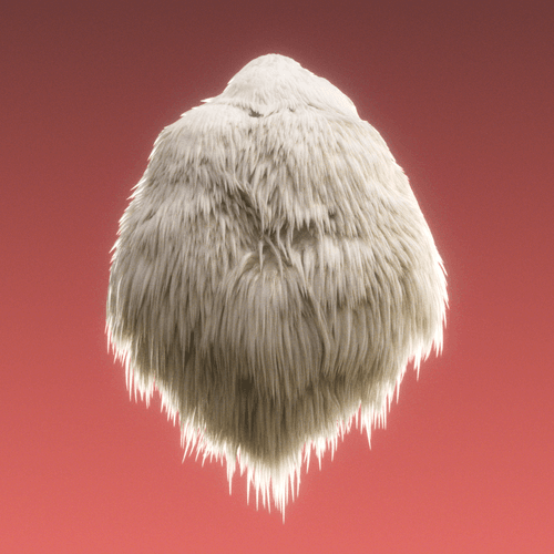 Lion's Mane Mushroom