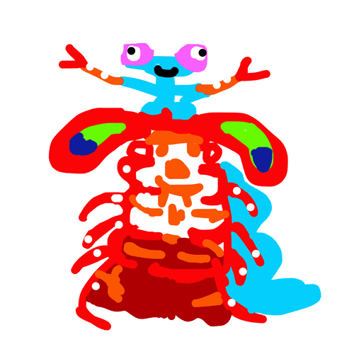 Mantis Shrimp