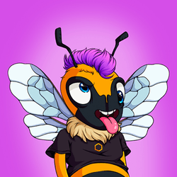 Honey Bee Club Official collection image