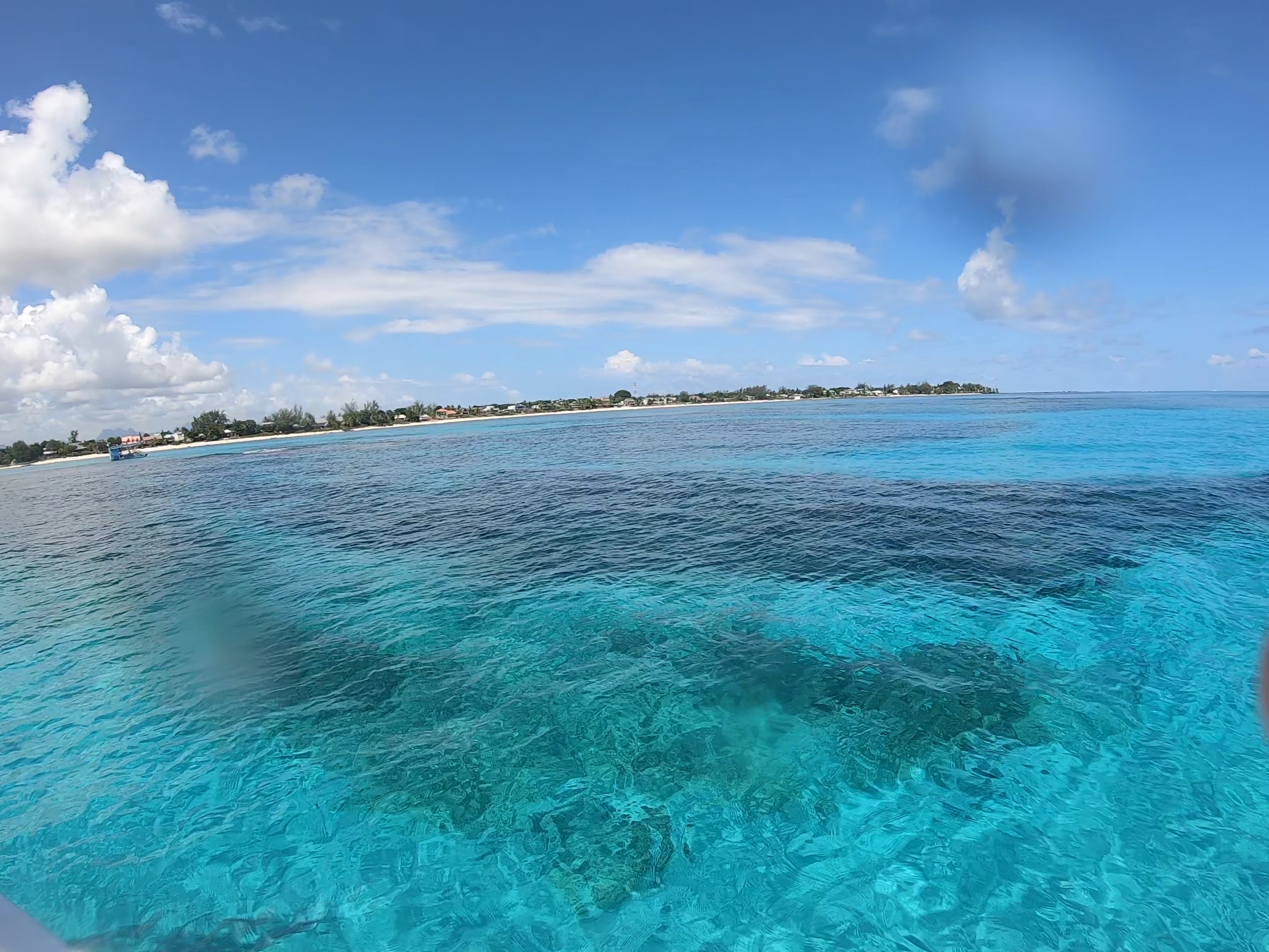 Ocean Beauty: Steph'S Captivating Scuba Diving Journey (9Gag) - h1ibnxj