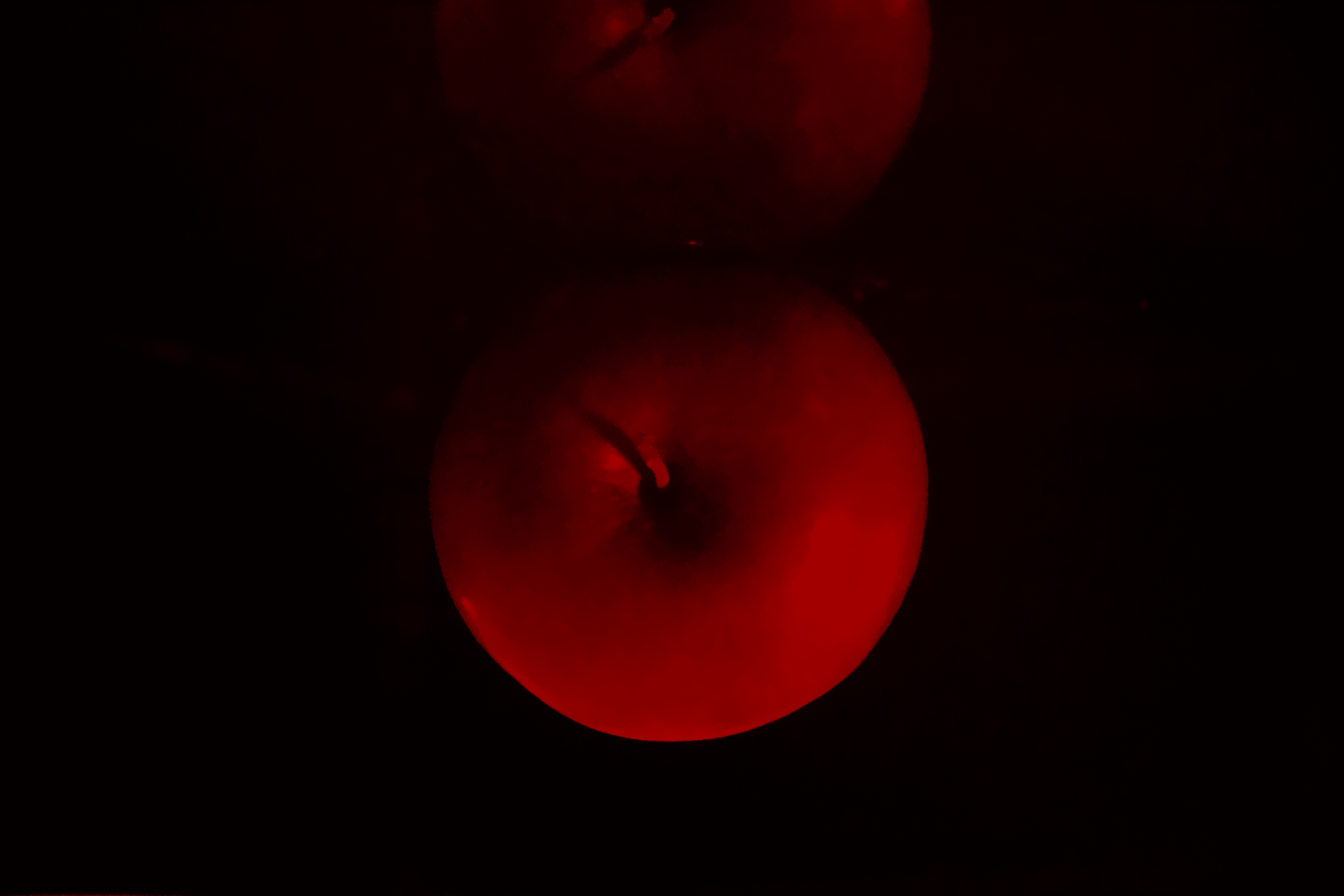 Visions of an Apple - #15