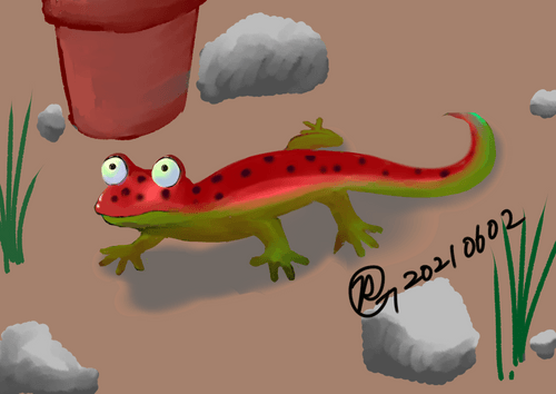 R-Grey's Crypto FANBOX