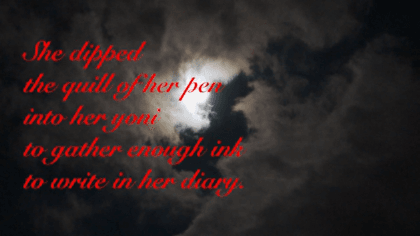 "Yoni Diaries #1" By Maxi Cohen