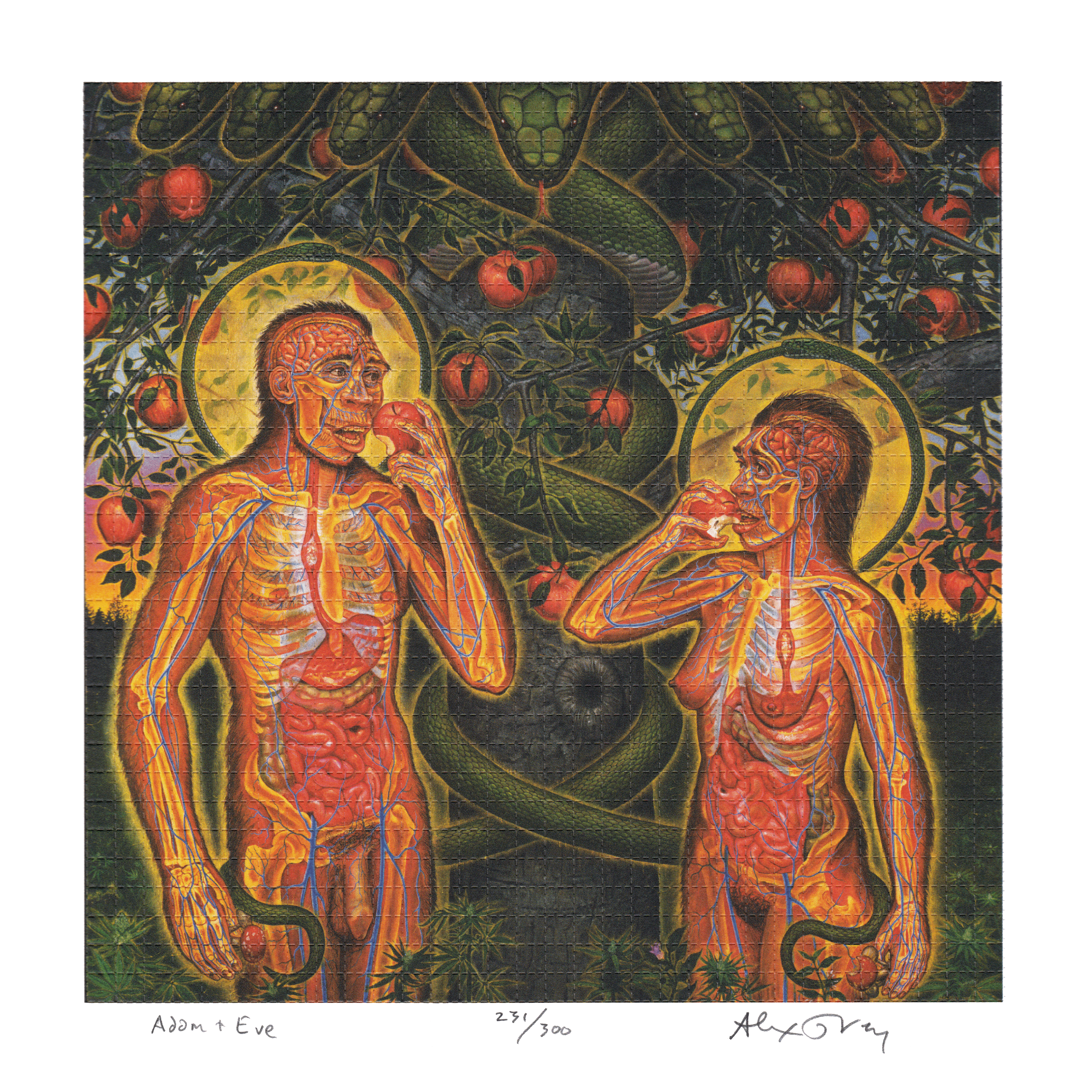 Adam & Eve by Alex Grey as LSD Blotter Art #231/300