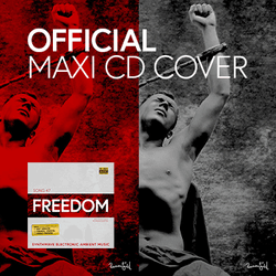 OFFICIAL MAXI CD COVER COLLECTION "SONG 47 FREEDOM" collection image