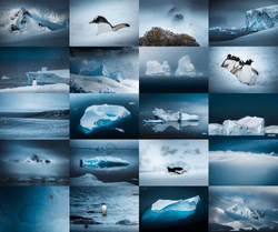 Antarctica - The Last Continent by Dennis Schmelz collection image