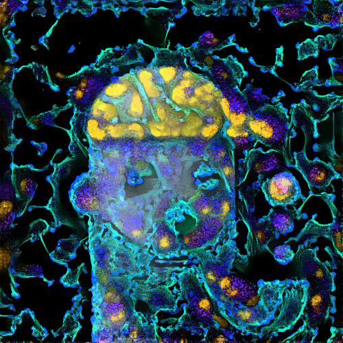 Quantum Punk #035