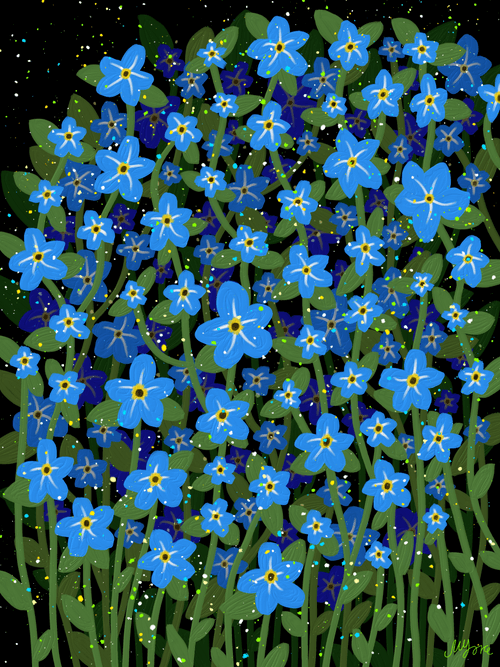 Mulmangcho(Forget-me-not)