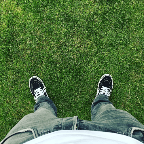 lookdown #53