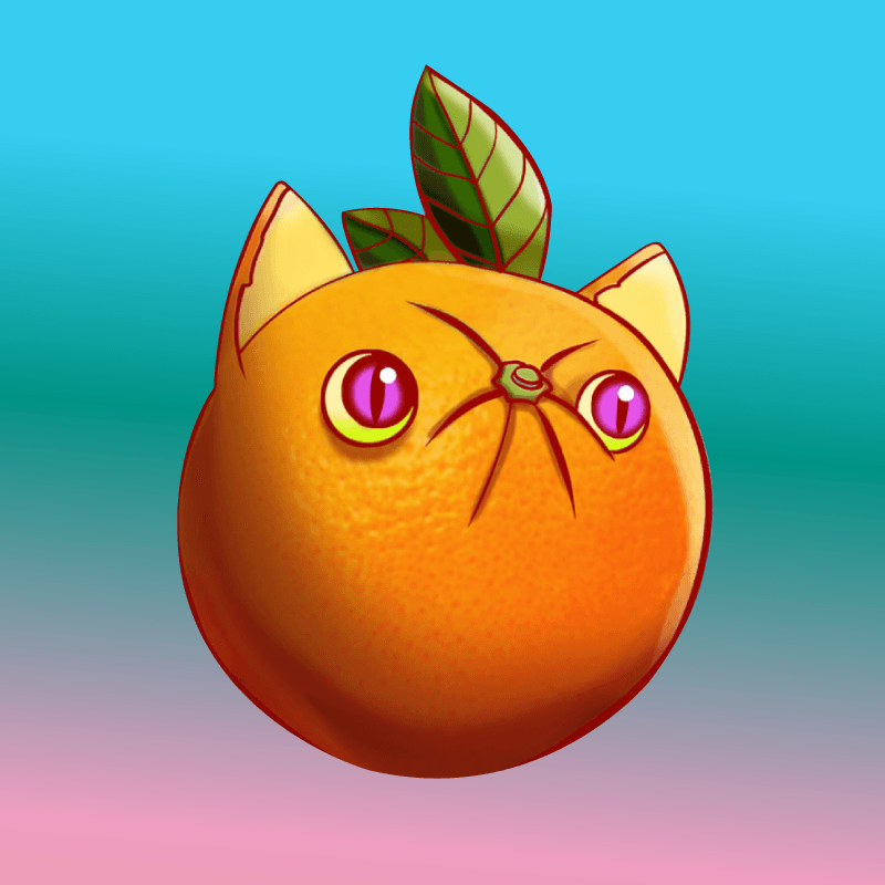 Orangen Katze