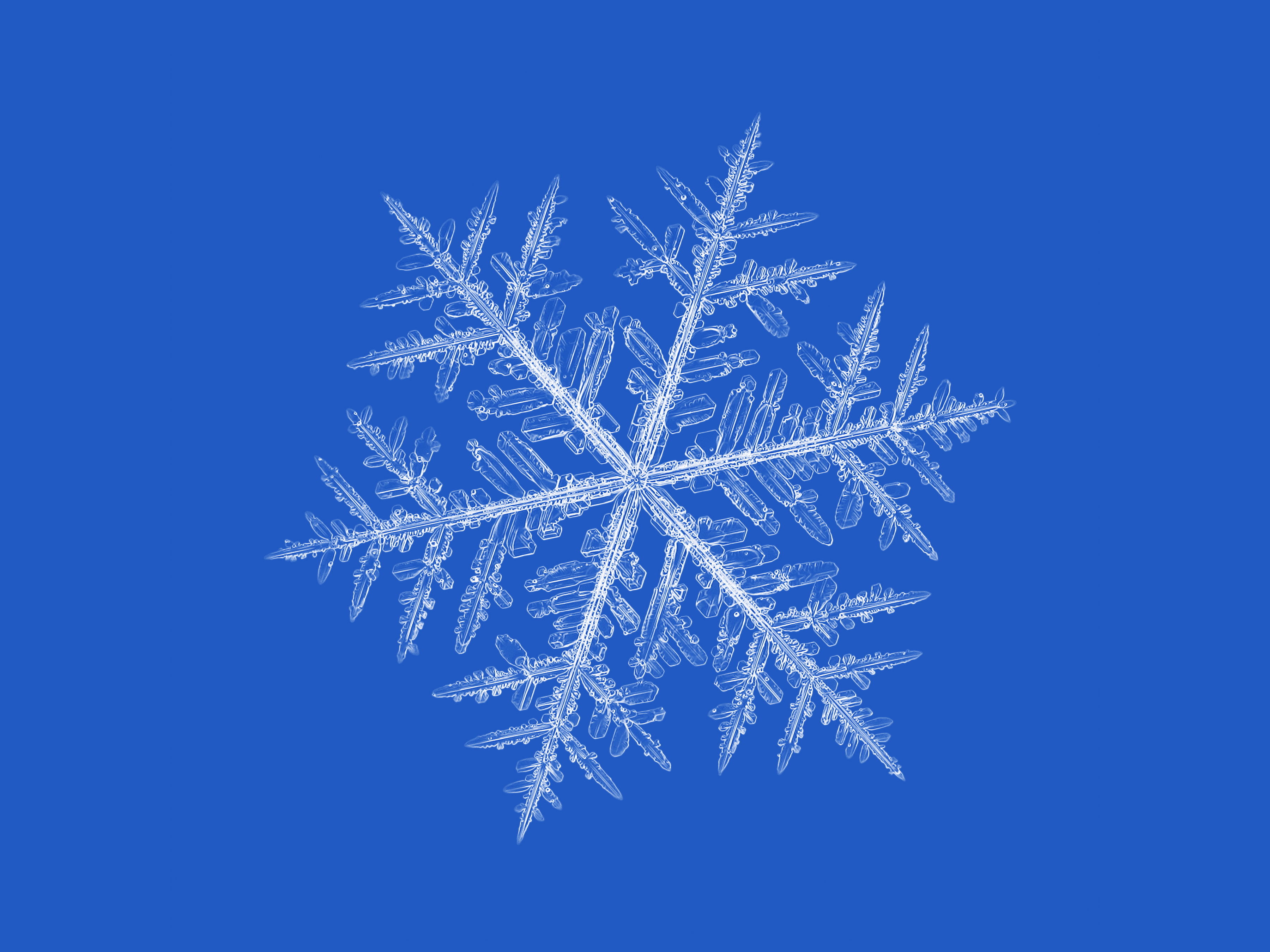 Snowflake 2013-01-10_0913-8 Alcyone
