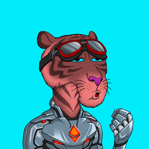 Tiger Man #0222