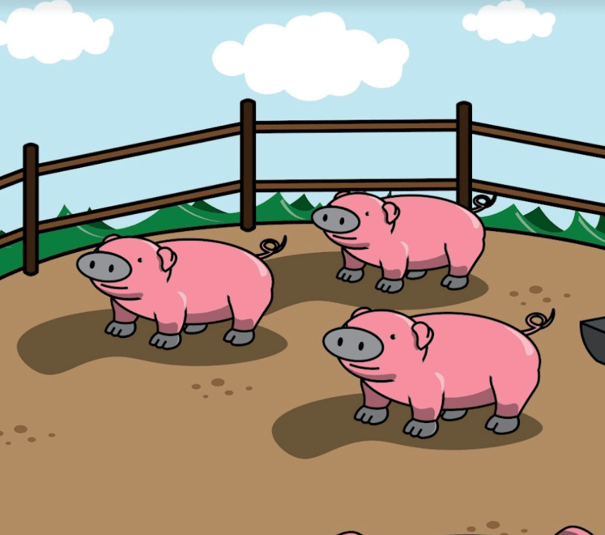 PigsPlayground