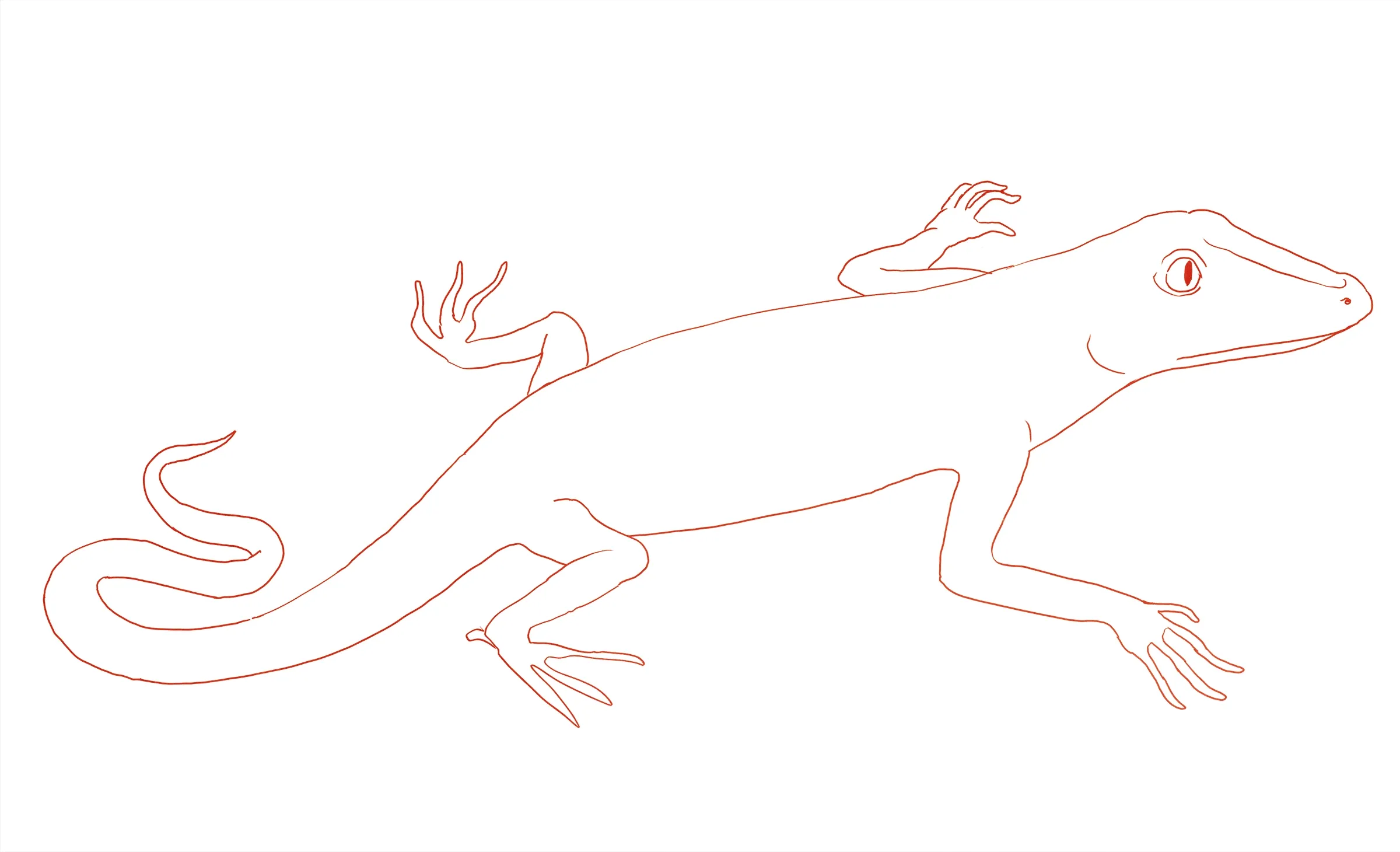 Anatomy of a Lizard