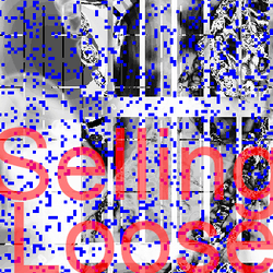 SellingLoose collection image
